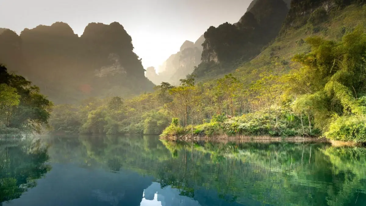 自动化高效高端